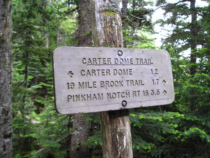 CarterDome (3).JPG - The trail to Zeta Pass gained quite a bit of elevation in 1.7 miles. It took us 1.5 hours to travel the 1.7 miles.